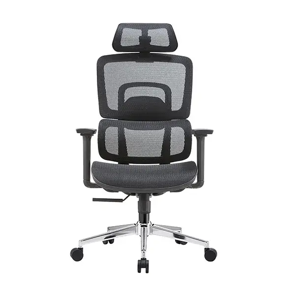 GHẾ CÔNG THÁI HỌC ERGONOMIC E-DRA EEC220
